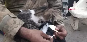 Enkazdan çıkan kediye jandarma şefkati