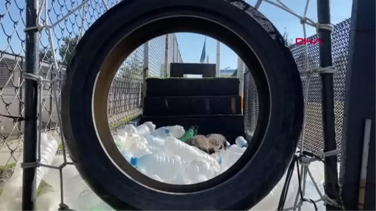 Meksika Savunma Bakanlığı, Proteo\'nun anısına video paylaştı