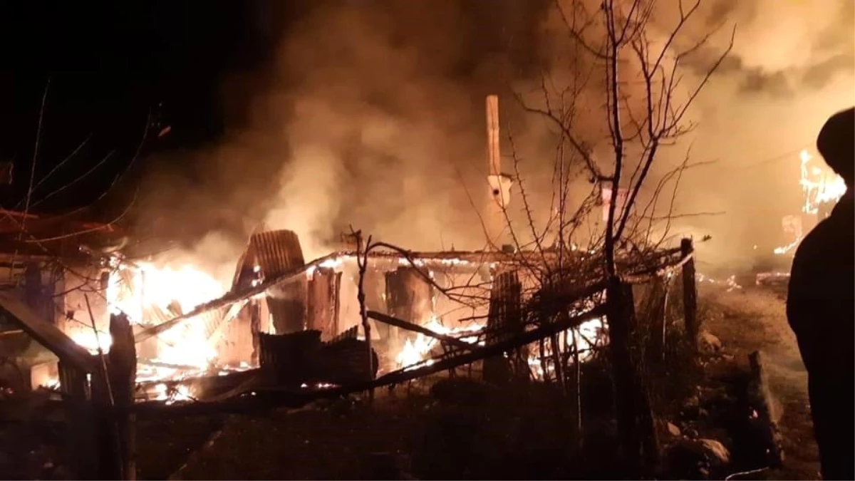 Bolu\'da bitişik haldeki 5 ev yandı