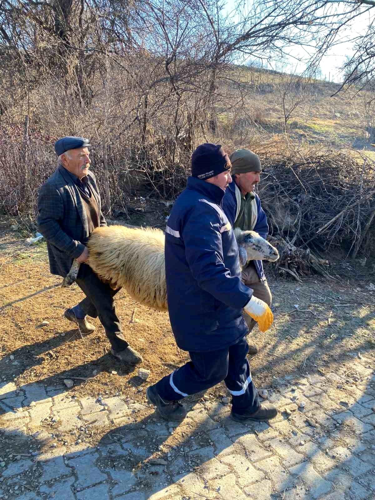 Deprem bölgesi için hayvan bağışladılar
