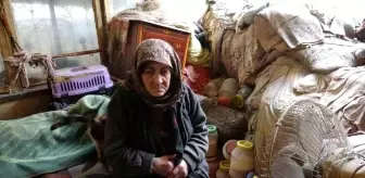 Depremzede Fatma teyze, kapkaça uğradığını gözyaşları içinde anlattı