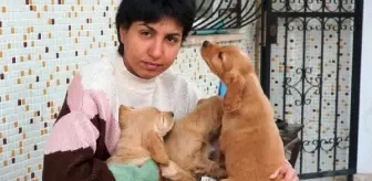 Depremde hasar gören evinden eşya yerine can dostlarını alıp çıktı