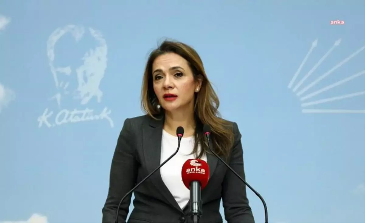 Gamze Akkuş İlgezdi: Acil Önlem Alınmazsa Depremde Olduğu Gibi, Asbest Kaynaklı Ölümlerin de Sorumlusu İktidar Olacaktır