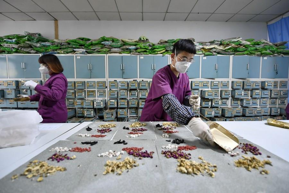 Geleneksel Çin Tıbbı Sayımında 163 Yeni Bitki Türü Tespit Edildi