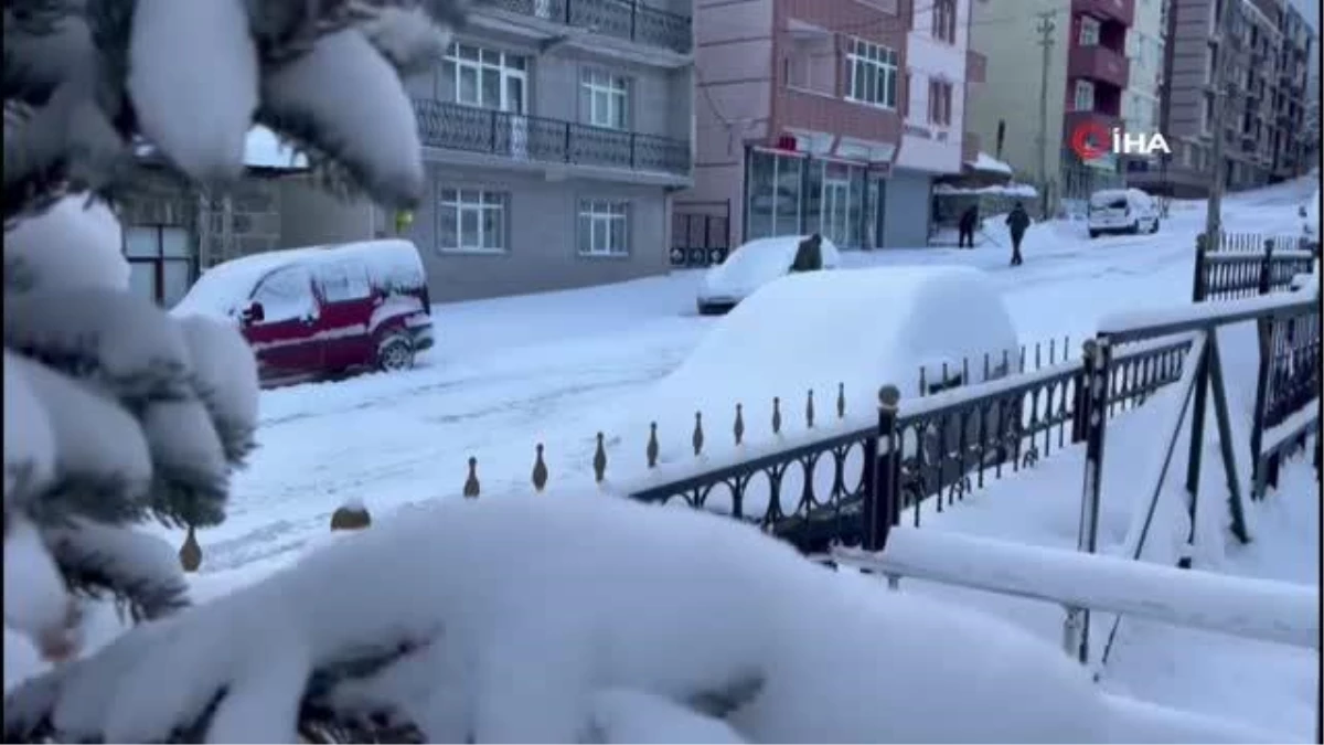 Kars\'ta kar ve tipi 39 köy yolunu ulaşıma kapadı