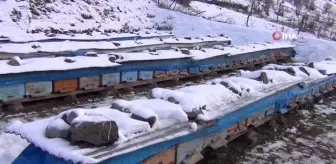Şırnak'ta kar yağışıyla birlikte bal arıları kış uykusuna yattı