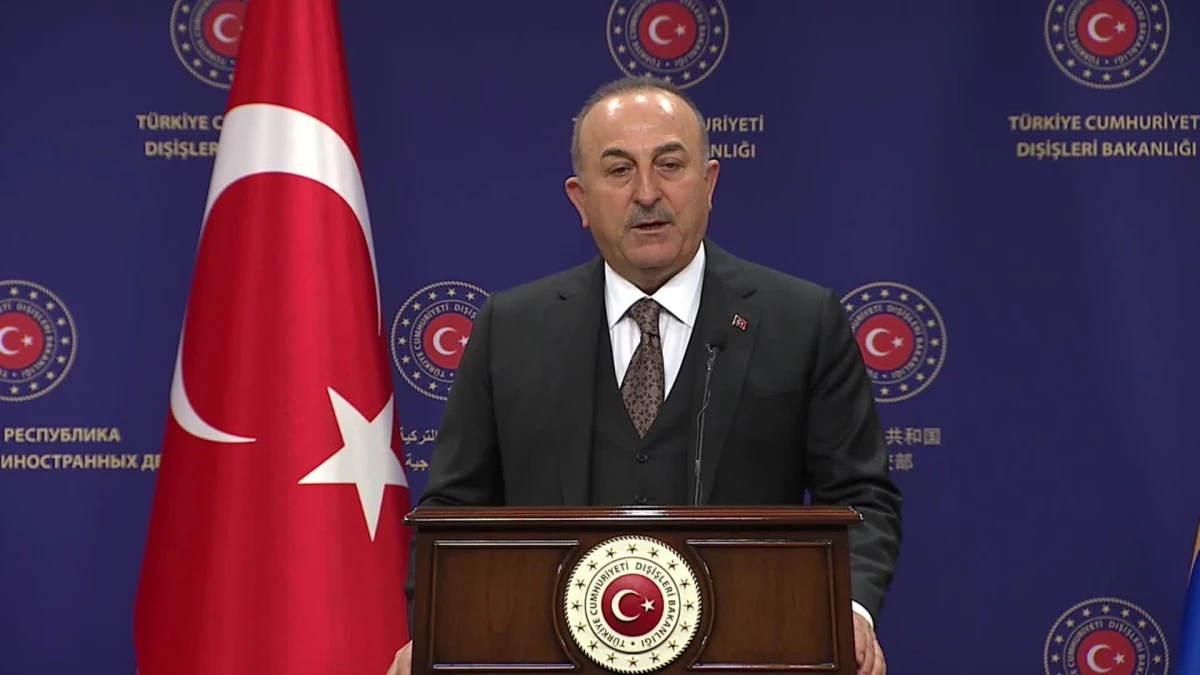 Dışişleri Başkanı Mevlüt Çavuşoğlu: "AB bu zor zamanımızda ciddi bir dayanışma sergiledi"
