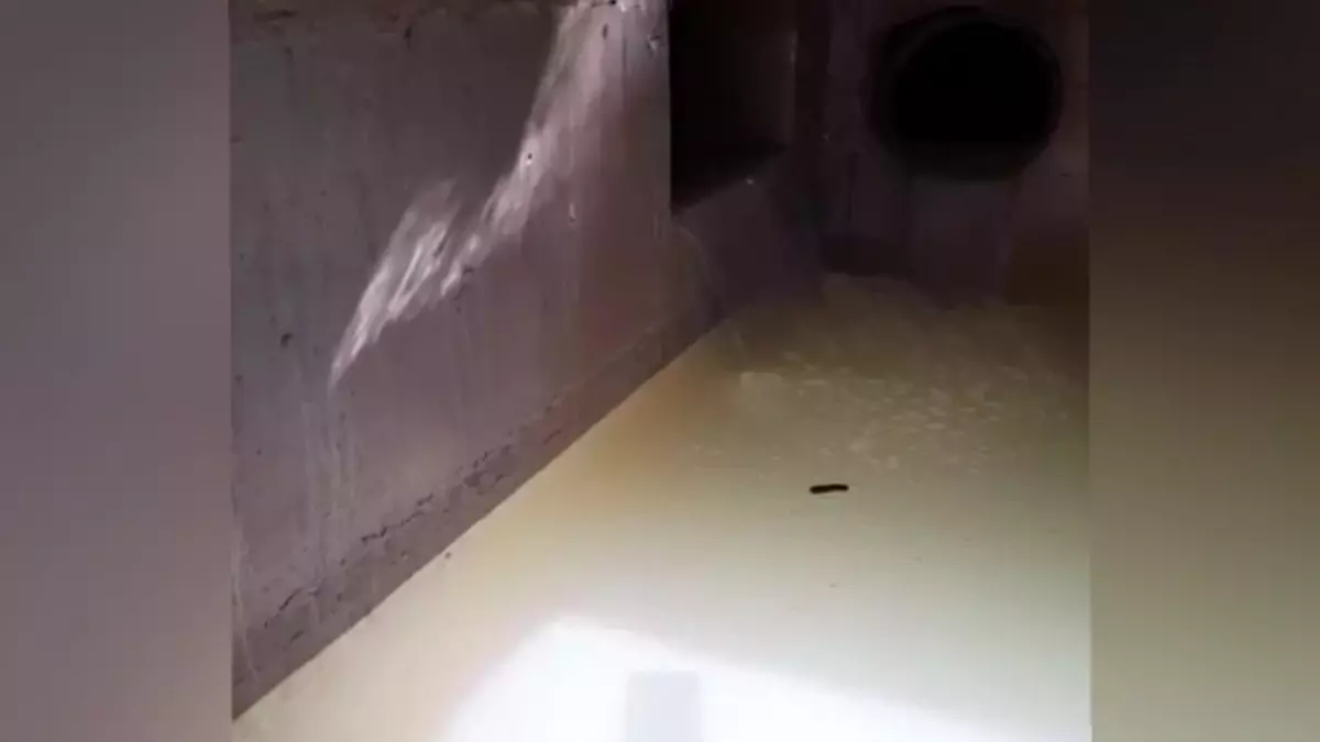 Osmaniye Kadirli\'nin Köylerinde Yaşayan Vatandaşlar: "Depremden Beri Susuzuz. Tavuklar Bile Susuz"