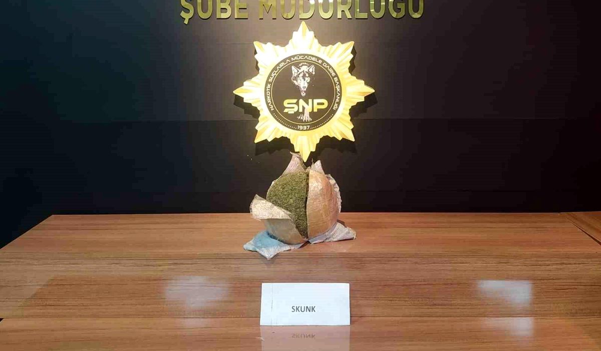 Şanlıurfa\'da durdurulan otobüsten uyuşturucu çıktı