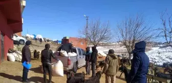 Siirt'ten deprem bölgesine 100 ton yem ve saman gönderildi