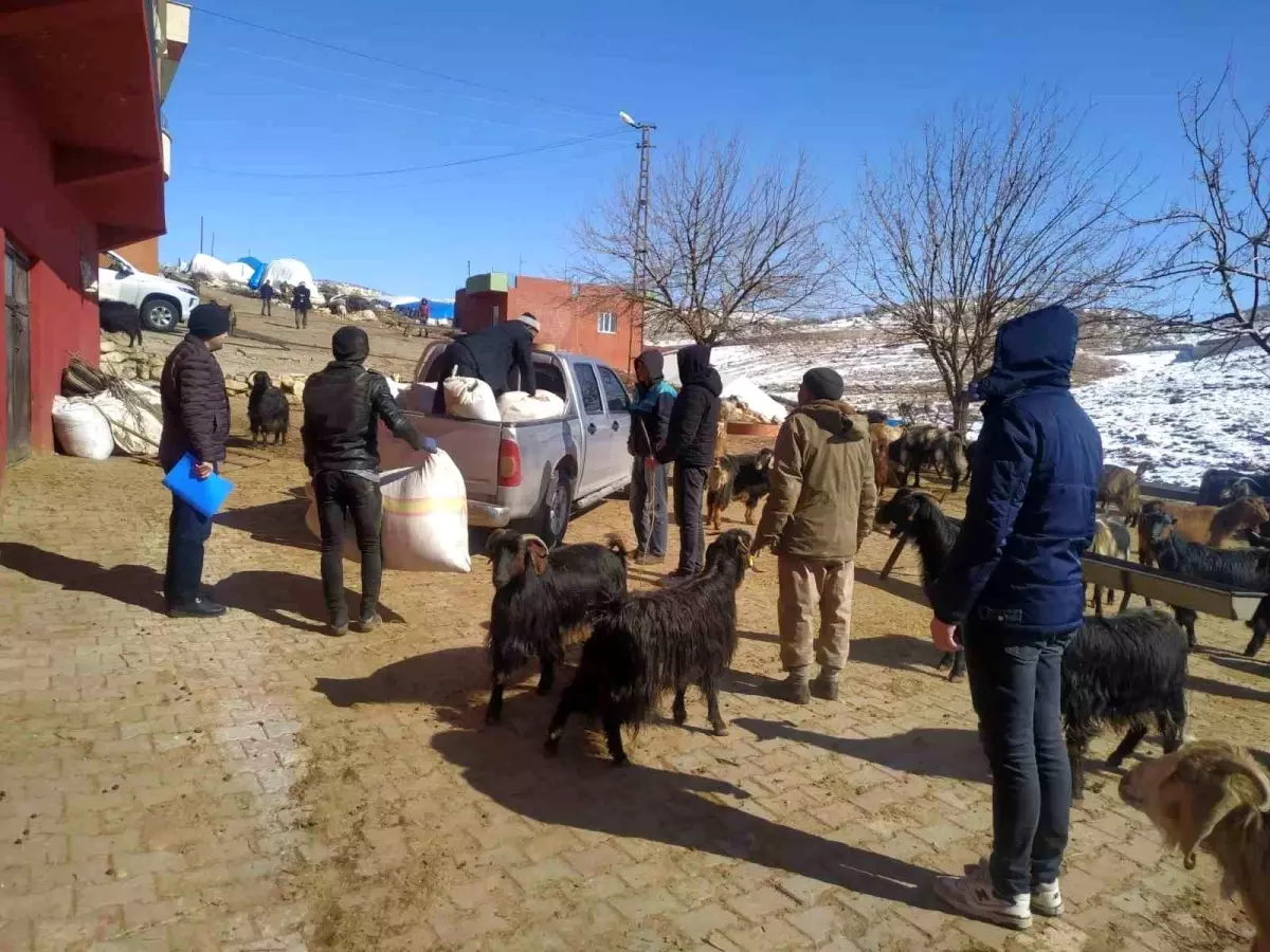 Siirt\'ten deprem bölgesine 100 ton yem ve saman gönderildi