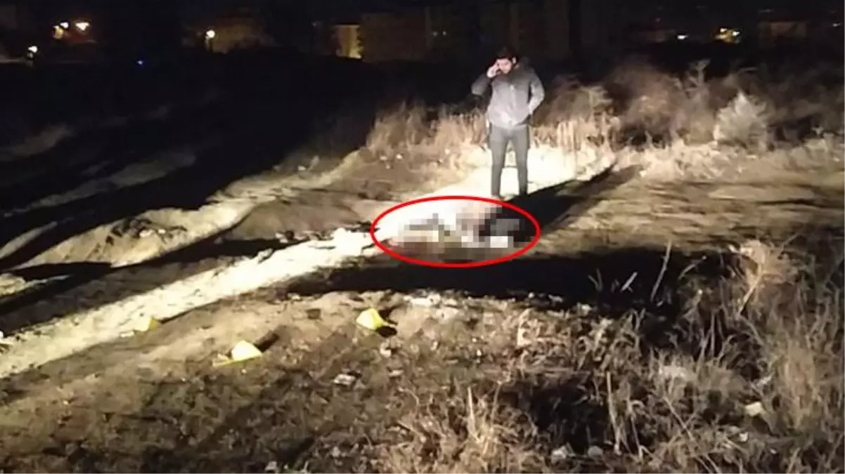 Alkol alan grup bir anda birbirine girdi! Arkadaşlarını öldürüp kayıplara karıştılar