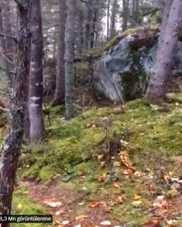Videonun, deprem sırasında Amanos dağlarında kaydedildiği iddiası doğru değil Videonun, deprem sırasında Amanos dağlarında kaydedildiği iddiası doğru değil