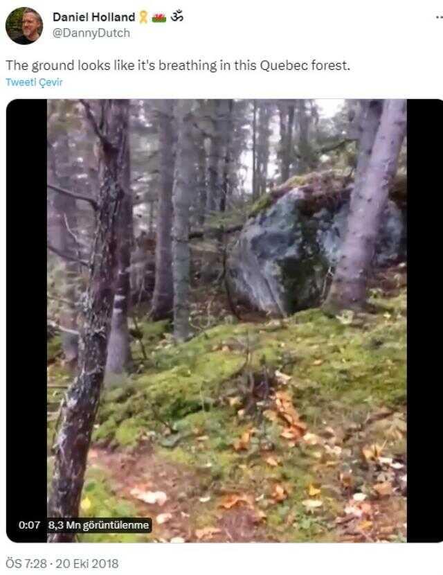 Videonun, deprem sırasında Amanos dağlarında kaydedildiği iddiası doğru değil Videonun, deprem sırasında Amanos dağlarında kaydedildiği iddiası doğru değil