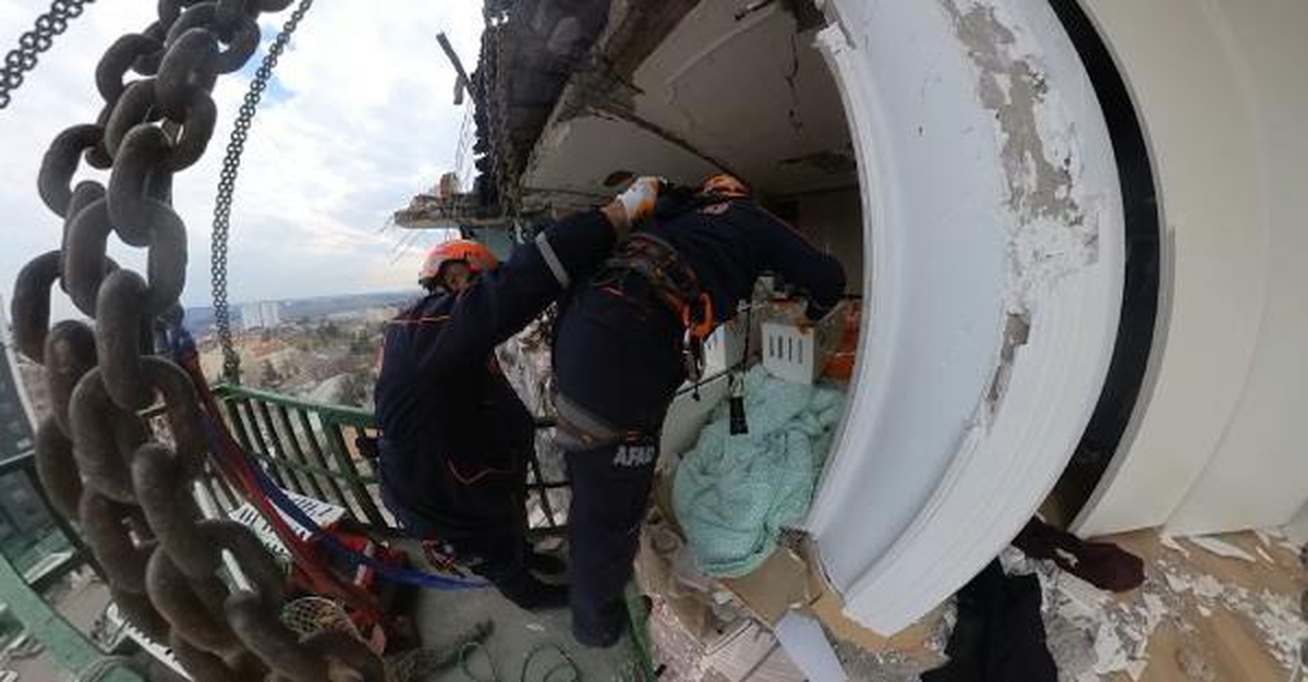 Cat rescue operation in Diyarbakır: 7 cats have been rescued