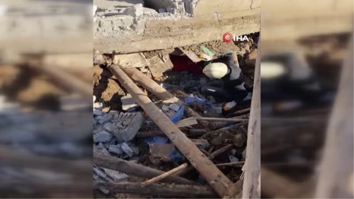 Depremin 17\'nci gününde 24 keçi enkazdan kurtarıldı