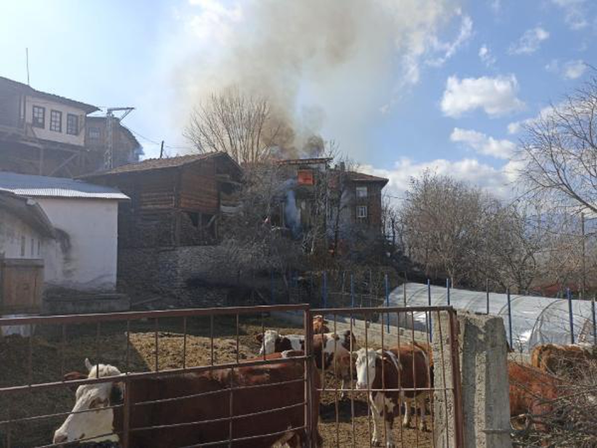 Kastamonu\'da 2 kuzenin yan yana ahşap evleri yandı