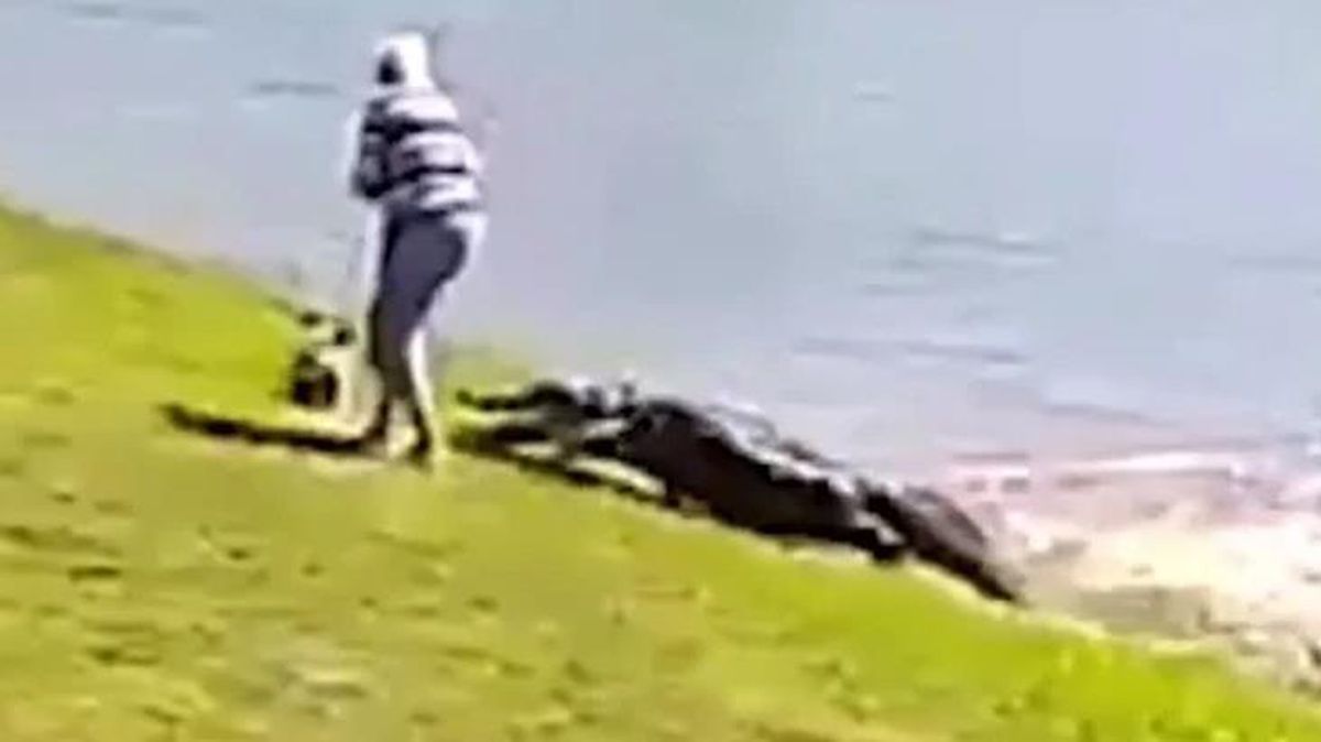 Köpeğiyle göl kenarında gezen kadına timsah saldırdı! Görevliler bedenini parçalanmış halde bulundu