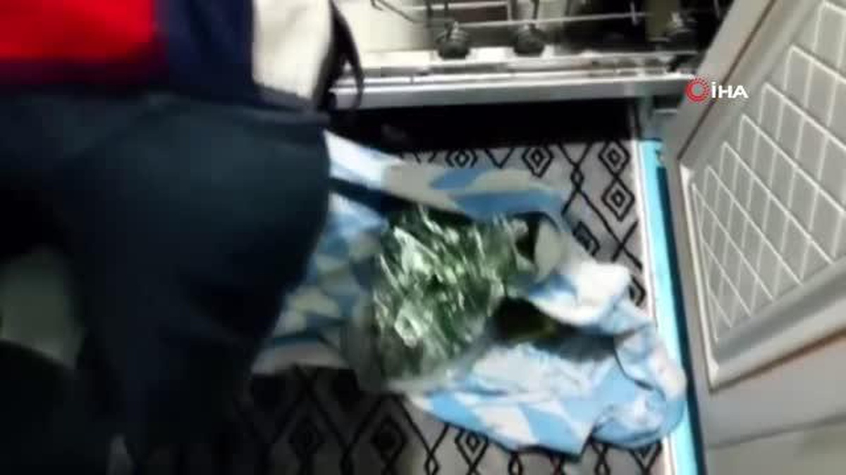 Uyuşturucuyu bulaşık makinesi ve çeyiz sandığına sakladılar