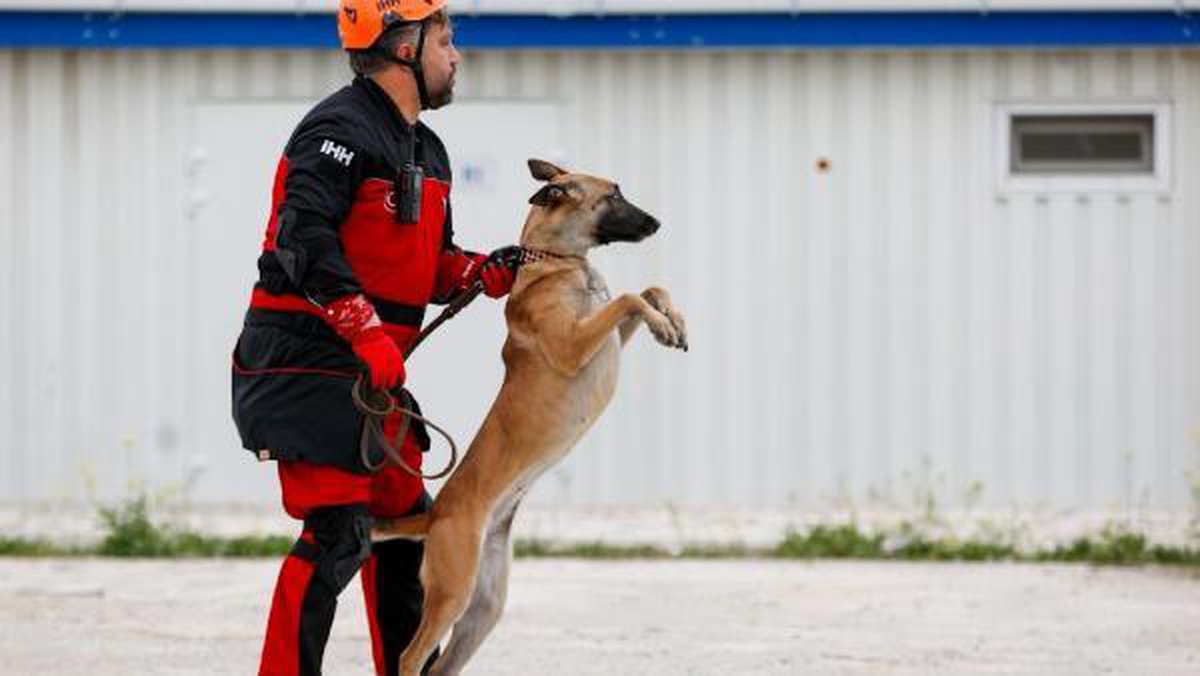 Arama kurtarma köpekleri Bozo, Angel ve Patron 50 kişiyi kurtardı