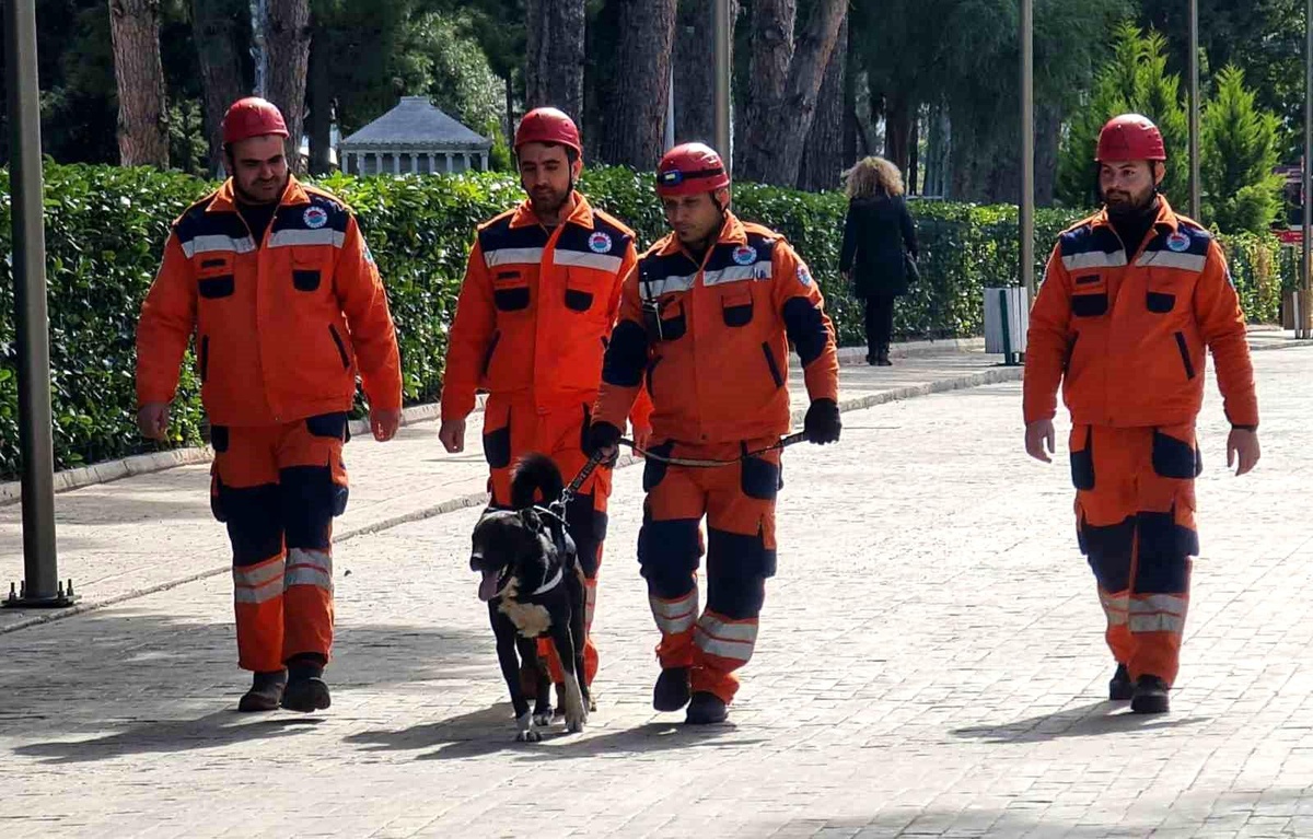 Depremzede köpek \'Hayat\', yeni hayatlar kurtaracak