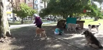 Yaşadığı bölgedeki sokak hayvanlarını her gün besliyor