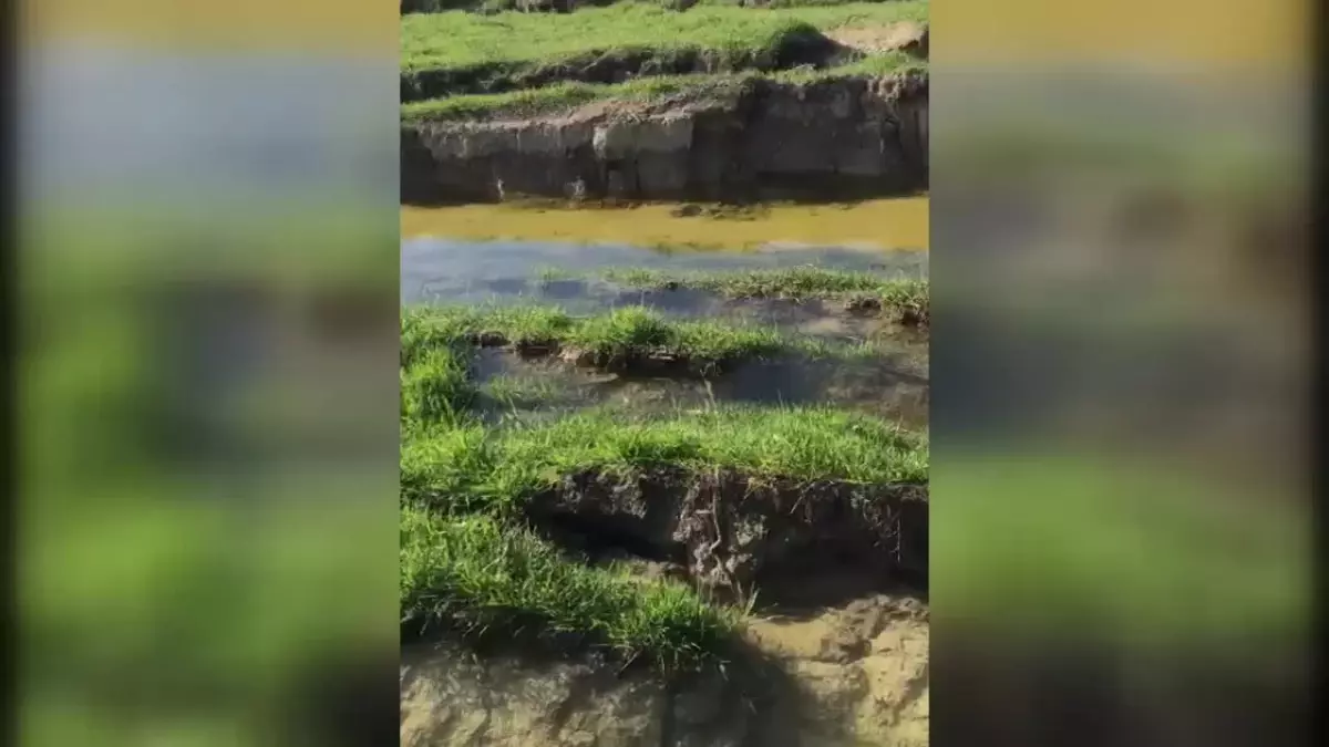 Antakya Ziraat Odası Başkanı Okay: Asi Nehri Yönünü Değiştirdi, Sıvı Yükselmesinden Dolayı Kum ve Yeraltı Suları Tarlaların Üzerine Çıktı