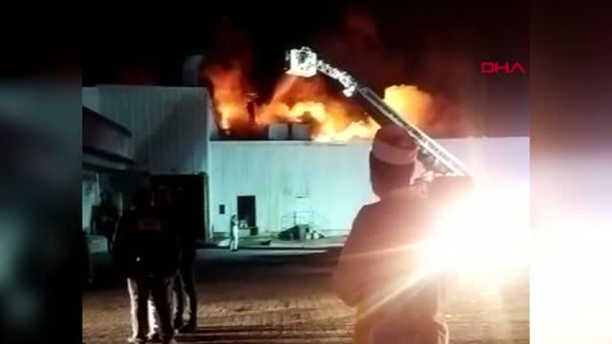 BOLU'DA, TAVUK KESİMHANESİNDE ÇIKAN YANGIN KORKUTTU