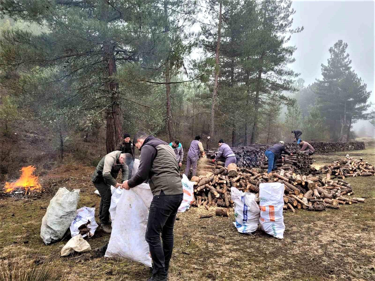 Kütahya OBM deprem bölgesine bin 625 ton yakacak odun gönderdi