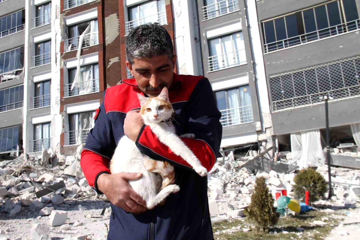 Malatya'da ağır hasarlı binada mahsur kalan kedi kurtarıldı