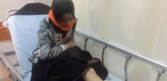 Okula giderken sokak köpeklerinin saldırısına uğrayan Hayrunnisa yaralandı