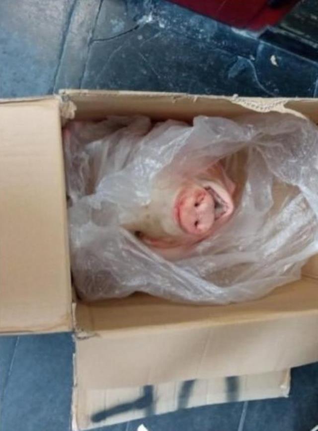 Sampdoria kulüp binasına kesik domuz başı bırakıldı! Notu okuyan yetkililer hemen alarm verdi