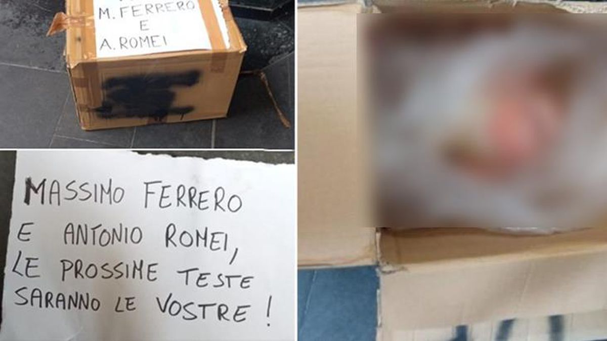 Sampdoria kulüp binasına kesik domuz başı bırakıldı! Notu okuyan yetkililer hemen alarma geçti