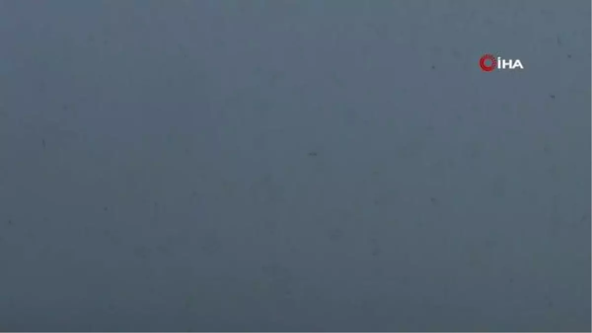 Erzurum'da yoğun sis etkili oluyor