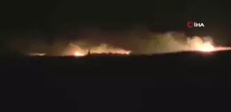 Gala Gölü Milli Parkı sazlık alanda çıkan yangın paniğe neden oldu