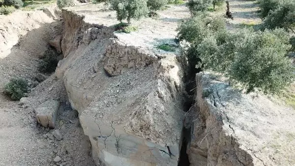 Hatay'ın Defne ilçesinde de zeytin bahçesinde deprem sonrası dev yarıklar oluştu