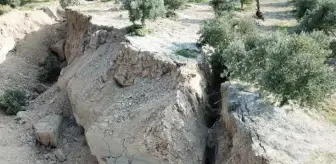 Deprem sonrasında hayrete düşüren görüntüler! Hatay'da zeytin bahçesinde sarsıntılar sonrasında dev yarıklar oluştu