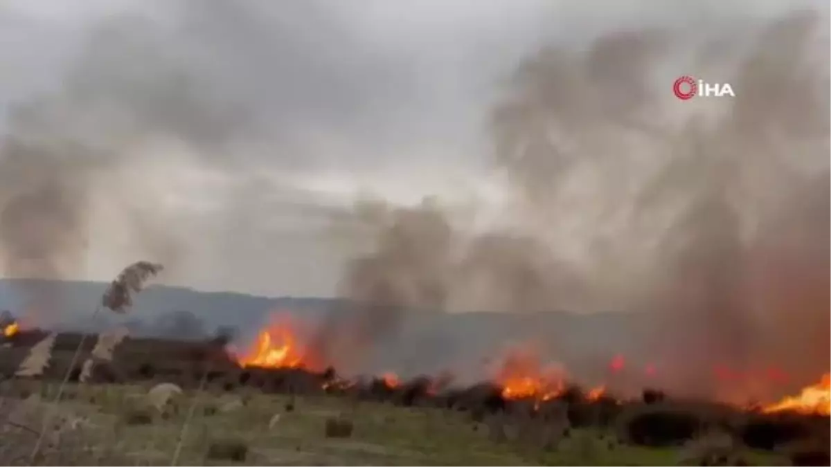 İznik Gölü'nde sazlık alan alevlere teslim oldu