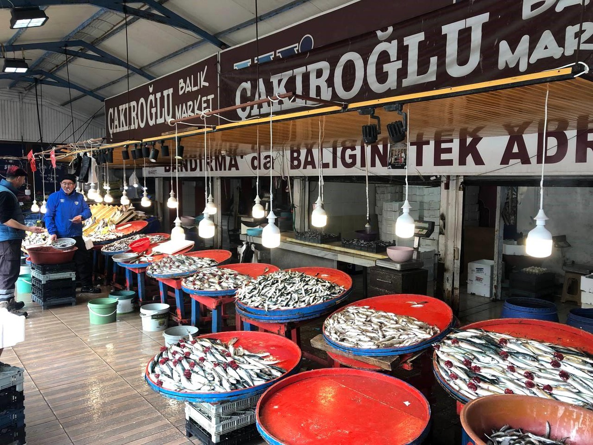 Marmara\'da hamsinin zayıf kalması fiyatlara yansıdı