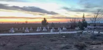 Vahşi hayvanlar saldırmış! Mezarlıkta cesedi bulunan kadının kimliği DNA örneğinden belirlenecek