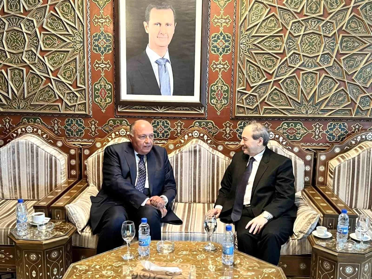 Mısır Dışişleri Bakanı Şukri\'den yıllar sonra Suriye\'ye ilk ziyaret