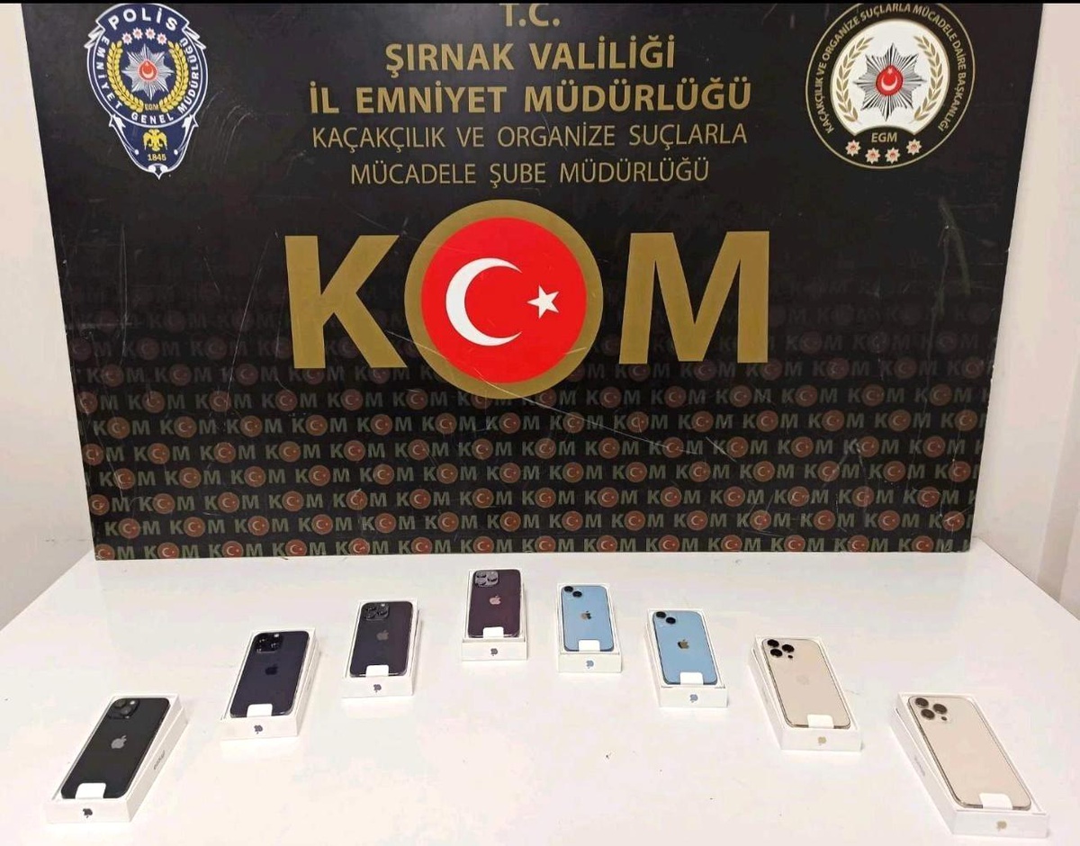 Şırnak\'ta asayiş ve kaçakçılık operasyonu: 49 gözaltı