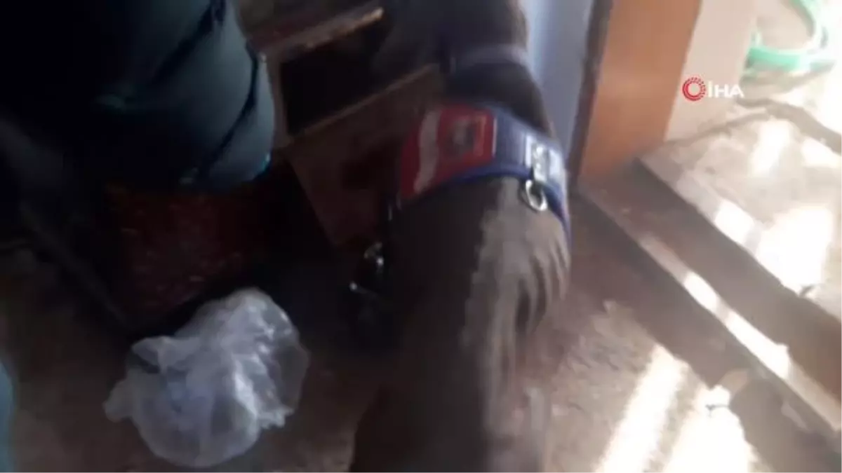 Sobaya gizlenen uyuşturucuyu narkotik köpeği \'Kaput\' buldu