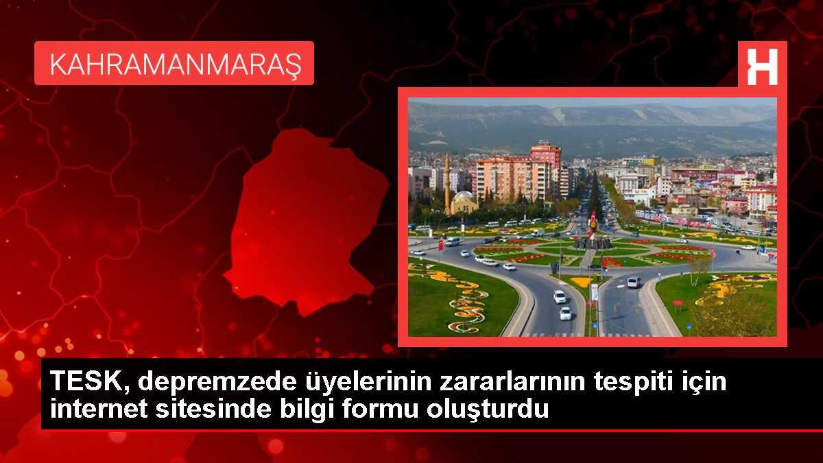 TESK, depremzede üyelerinin zararlarının tespiti için internet sitesinde bilgi formu oluşturdu