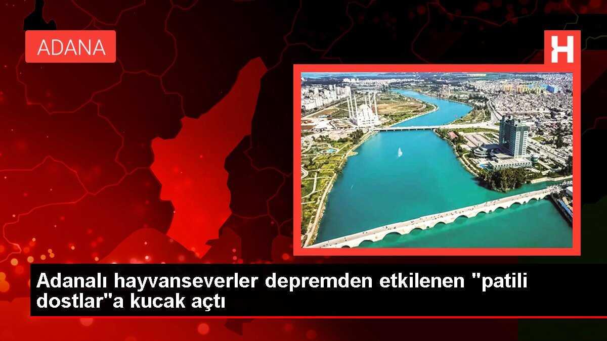 Adanalı hayvanseverler depremden etkilenen 'patili dostlar'a kucak açtı