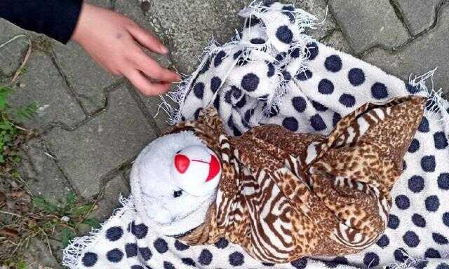 Dilenen kadının kucağındaki kundaktan bebek değil oyuncak ayı çıktı