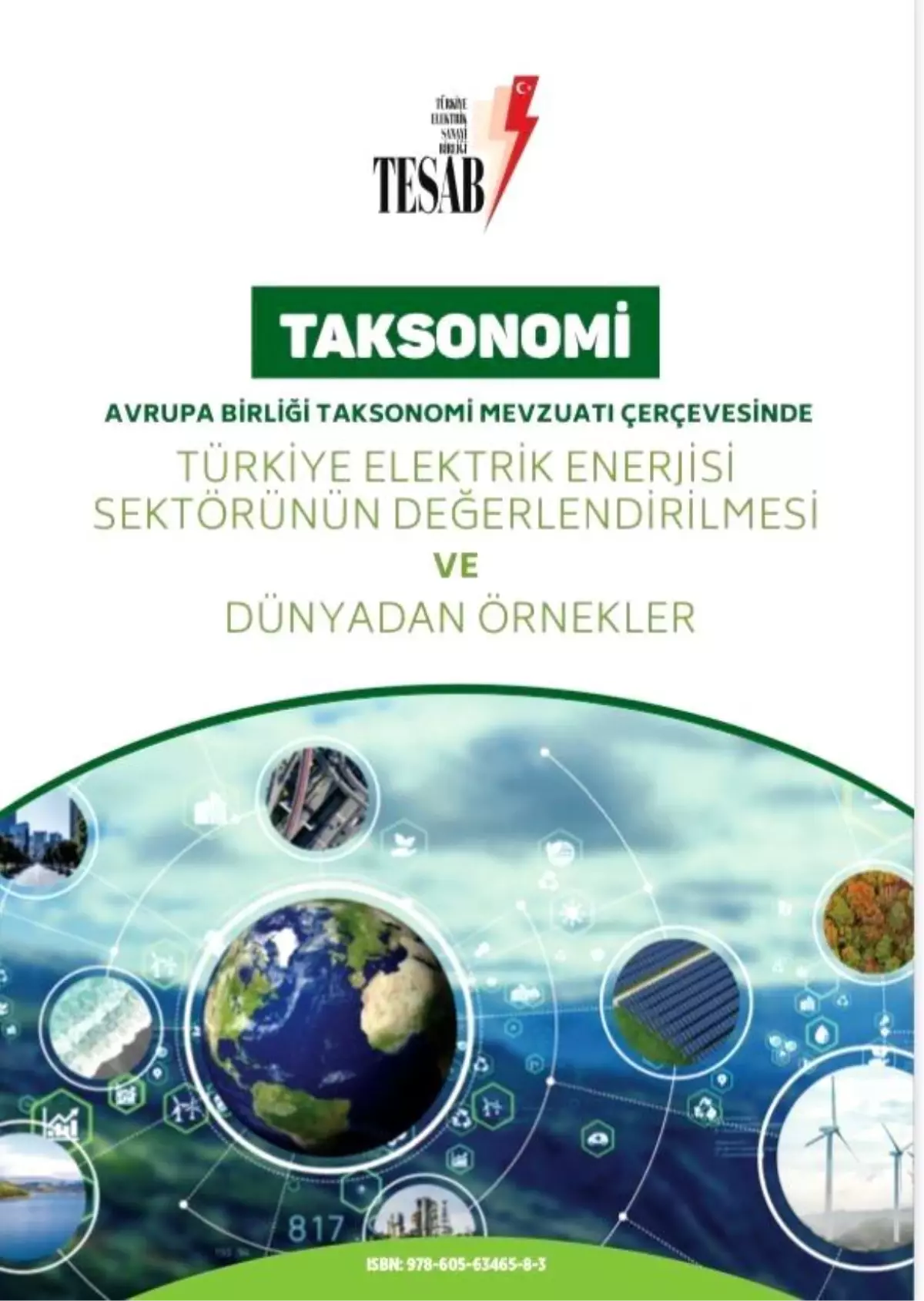 Enerji sektöründe ilk niteliği taşıyan kitabı "Taksonomi" yayımlandı