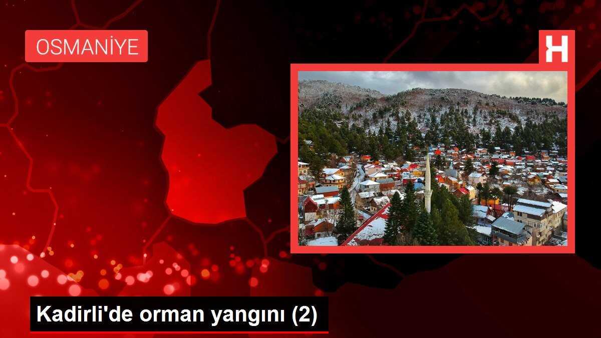 Kadirli'de orman yangını (2)