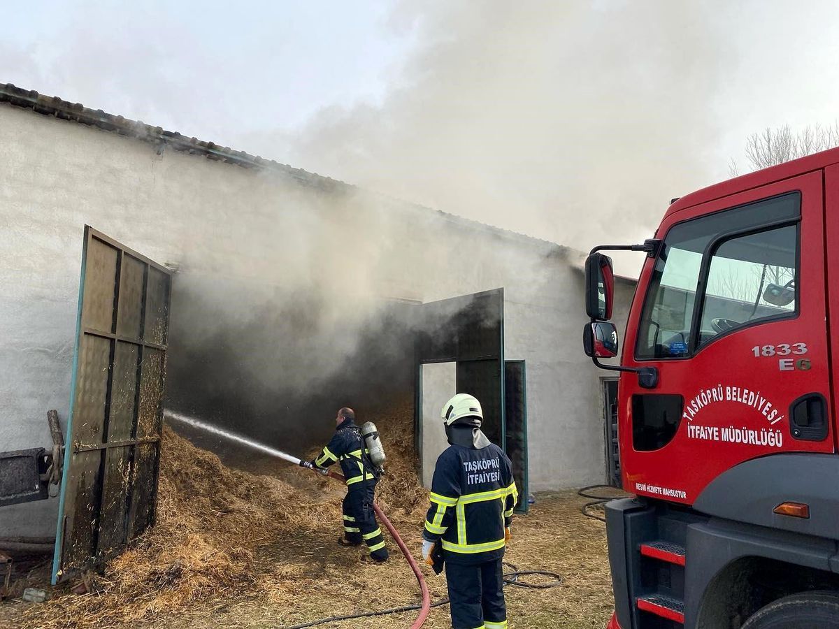Kastamonu\'da hayvan çiftliğinde çıkan yangın büyümeden söndürüldü