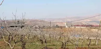Kuraklık tedirgin ediyor: Umutlar mart ve nisan yağmurlarına kaldı